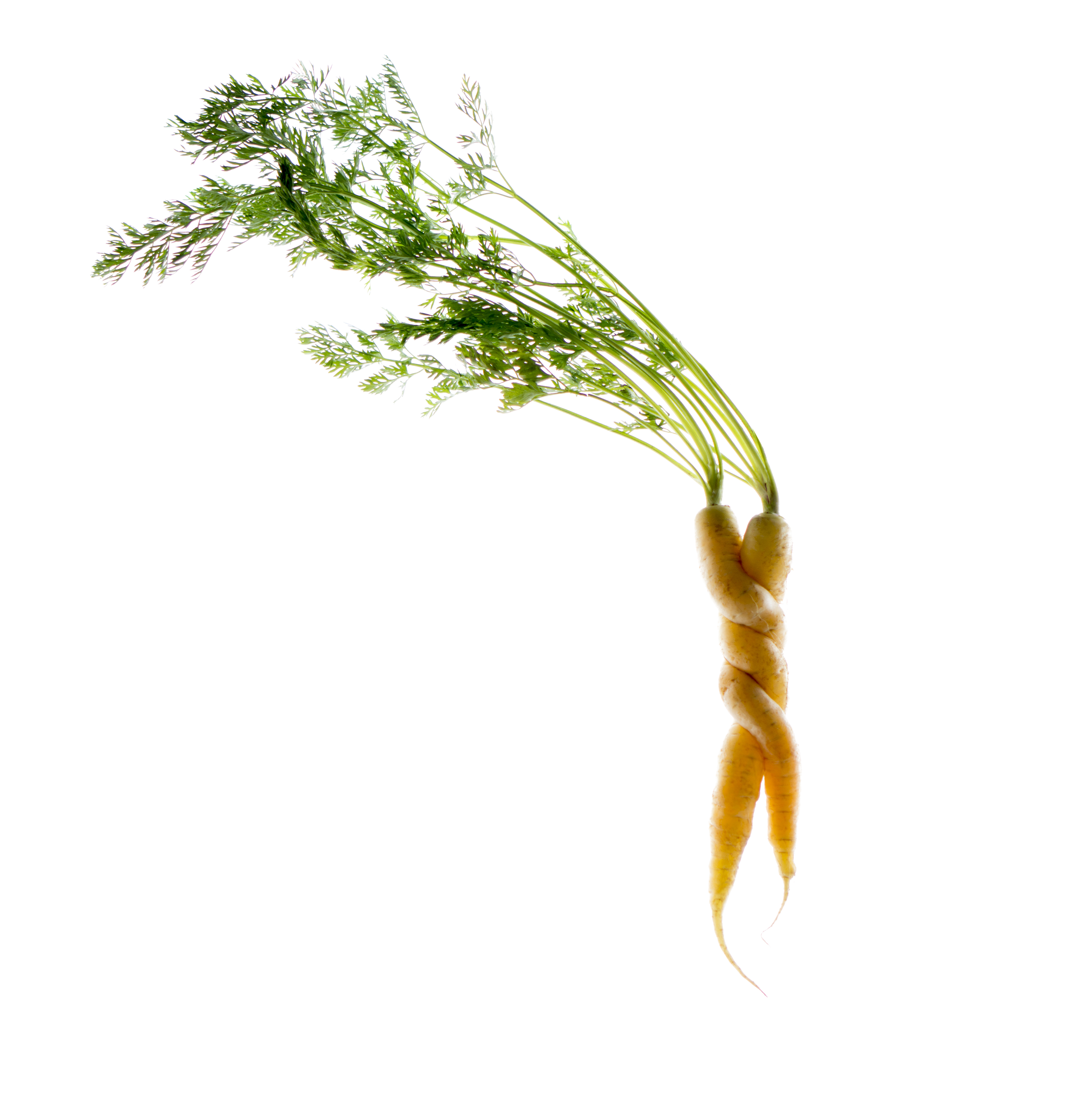 Put Waste to Work – What Does that Really Mean?