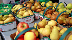 Farmer's Market by Joseph.Morris start with small yield goals in any new city garden