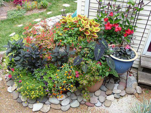 Guaranteed Tips For the Novice Gardener