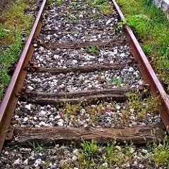 Enjoy Your Own Healthful Produce with These Tips