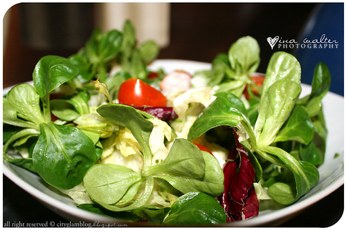 Creative Ideas and Practical Gardening Advice