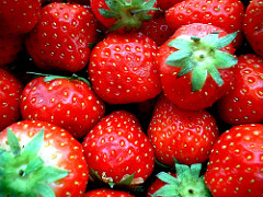 strawberries photo