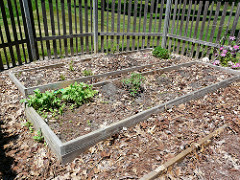 Raised bed garden, Spring by Tatiana12 Getting the soil chemistry right is key for growing healthful produce at home