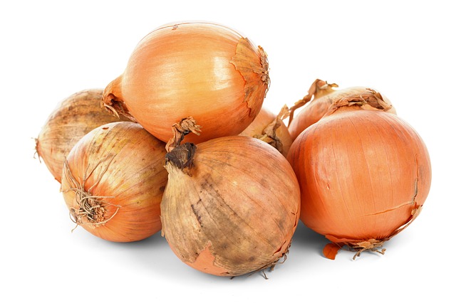 onions can control slugs which helps soil chemistry