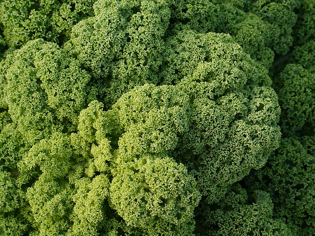 Doesn't superfood kale look delicious?