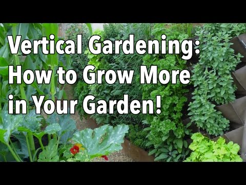 Vertical Gardening – Simple Ideas for a Balcony Garden