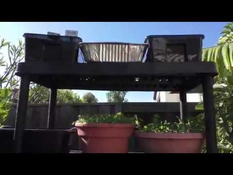 Vertical Gardening Made Easy – More Small Garden Ideas