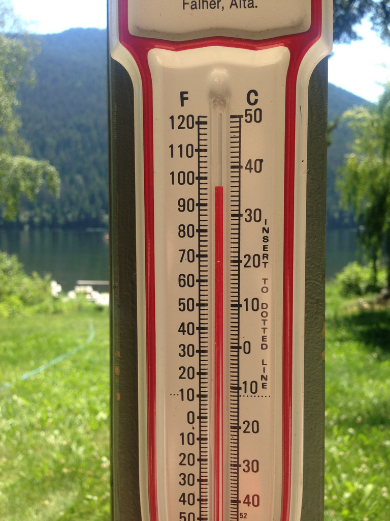 Summer requires you protect your vegetable garden for summer heat