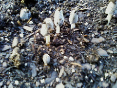 Hay bale gardening by Jason Riedy A hay bale garden can be placed atop nearly any surface. Just keep it wet.