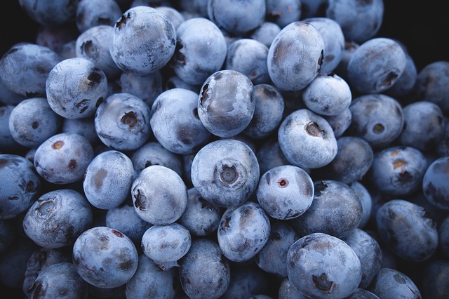 Blueberries are a great food for beginning superfood consumption
