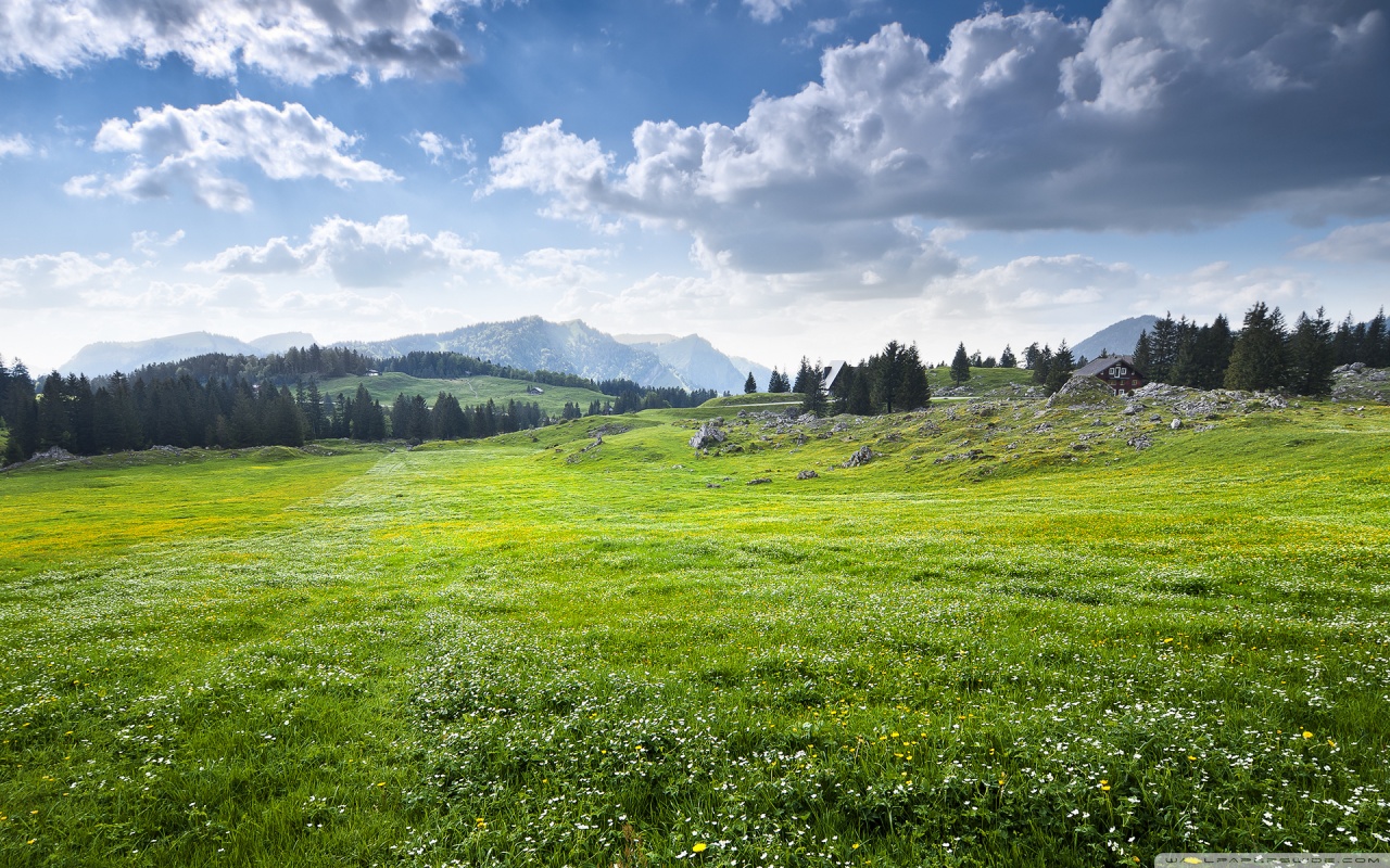 What’s the Downside?