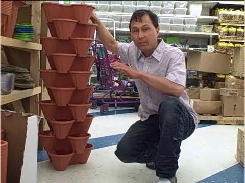 Vertical Gardens for $1