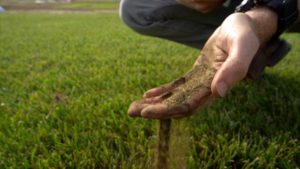 Photograph of a person with fertilizer in their hand