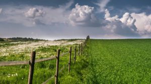 photograph of a fertile field with a fence bisecting it